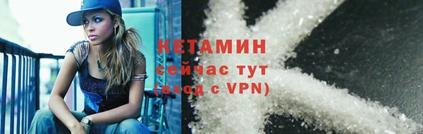 стафф Архангельск