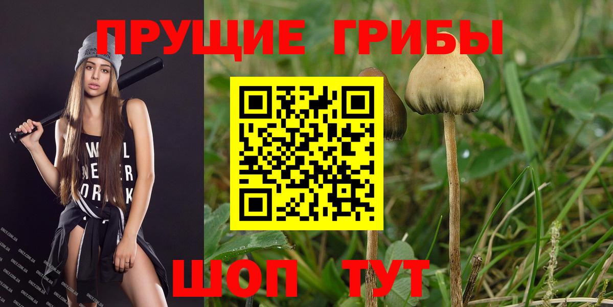 Галлюциногенные грибы Psilocybine cubensis Нижний Тагил