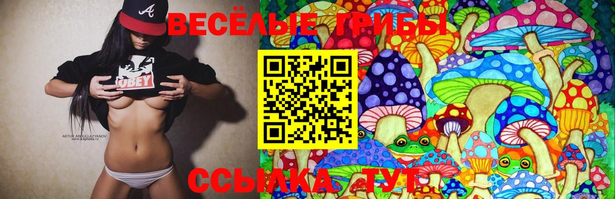Псилоцибиновые грибы Magic Shrooms  Вход с VPN  магазин  наркотиков  Нижний Тагил 